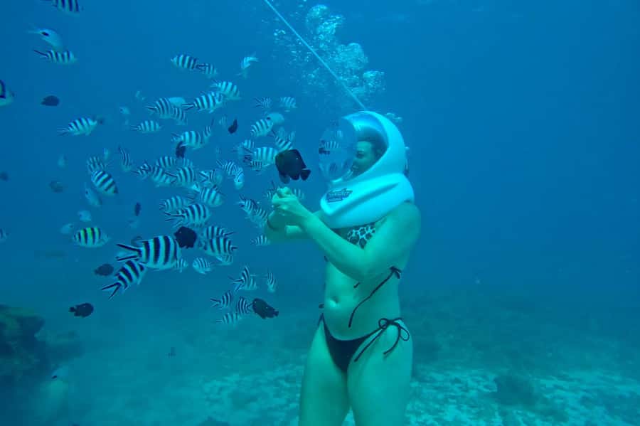 Underwater Walking Experience in Zanzibar,No Swimming Needed - Is $60 good value?