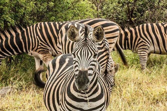 Unforgettable 5 days Tanzania Private Budget Camping safari - What $2,088 buys you in practical terms
