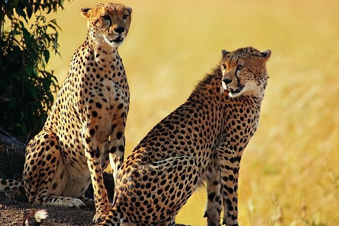 Unforgettable 5 days Tanzania Private Budget Camping safari - Day 2: The long road to the Serengeti
