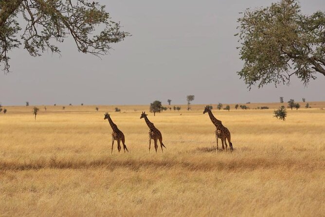 Unforgettable Tanzania Safari And Zanzibar Beach - Three days to slow down on Zanzibar