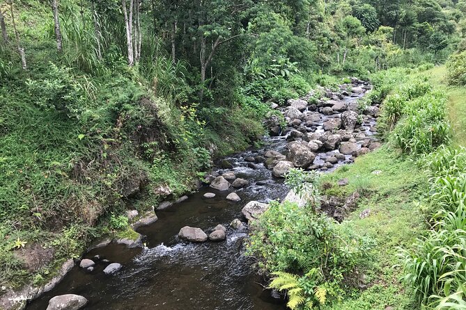 Unzip Hidden Tanzania's Attractions - Day 2: Materuni Waterfalls and coffee at the foot of Kilimanjaro
