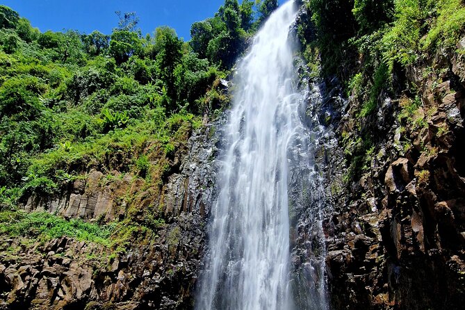 Waterfall, coffee tour & hot springs - lunch and drinks included - The guide can shape the entire day