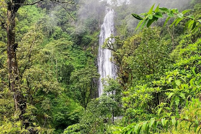 Waterfall, coffee tour & hot springs - lunch and drinks included - What the $99 price includes