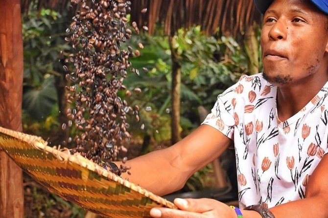 Waterfalls, Coffee, Hotsprings, Food Cuisine, & Serval Wildlife - Key points to know before you book