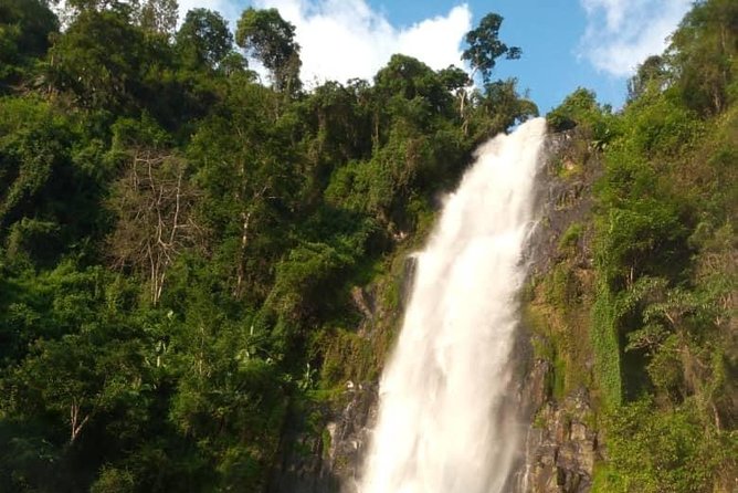 Waterfalls, Coffee, Hotsprings, Food Cuisine, & Serval Wildlife - Why this Arusha day trip works