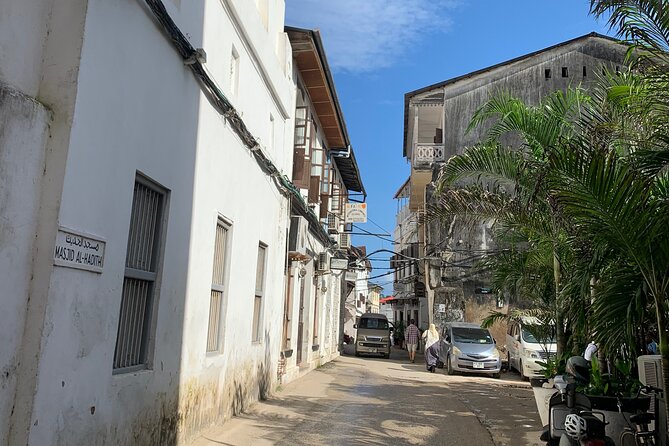 Welcome Zanzibar : A Journey through time for the Old Town - Sultan’s Palace, the House of Wonders, and grand old buildings