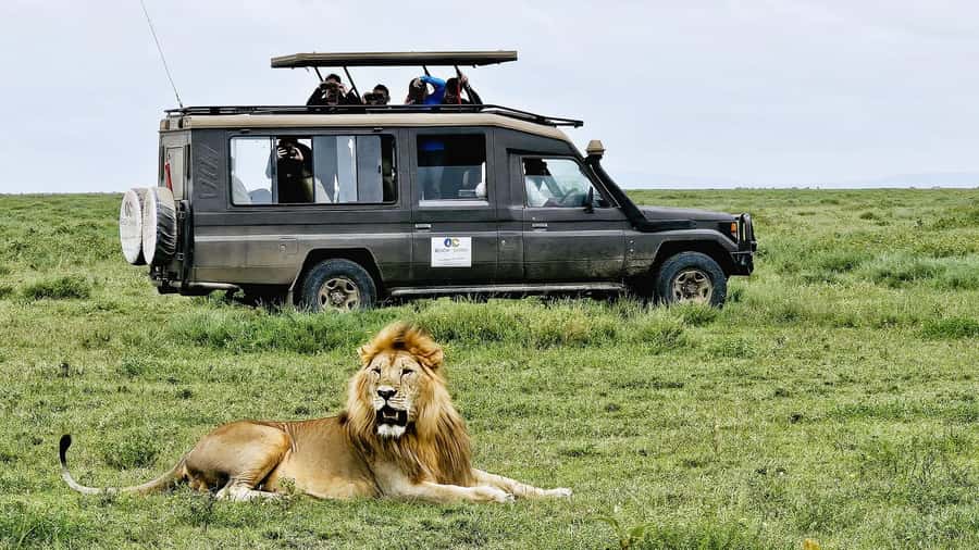Zanzibar: 2-Day Private Magical Ngorongoro Crater Safari - Day one: Zanzibar to Arusha and the crater