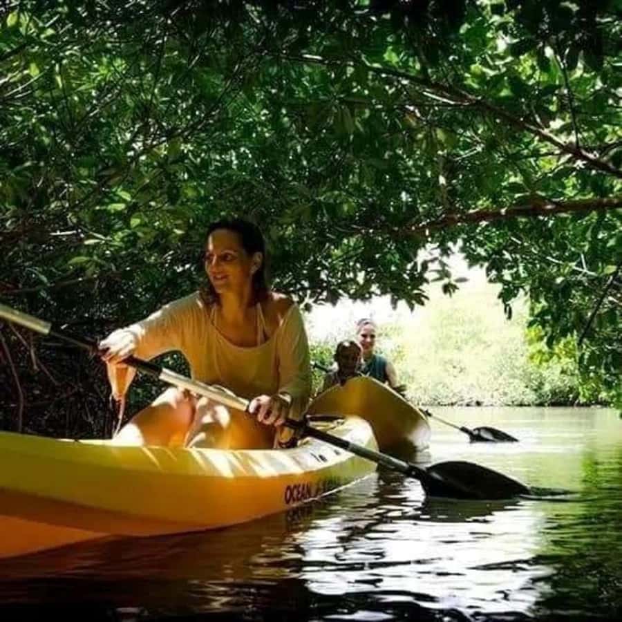 Zanzibar: 3-hour Kayak Tour through the Mangrove Forest - Starting at Unguja Ukuu Kaepwani