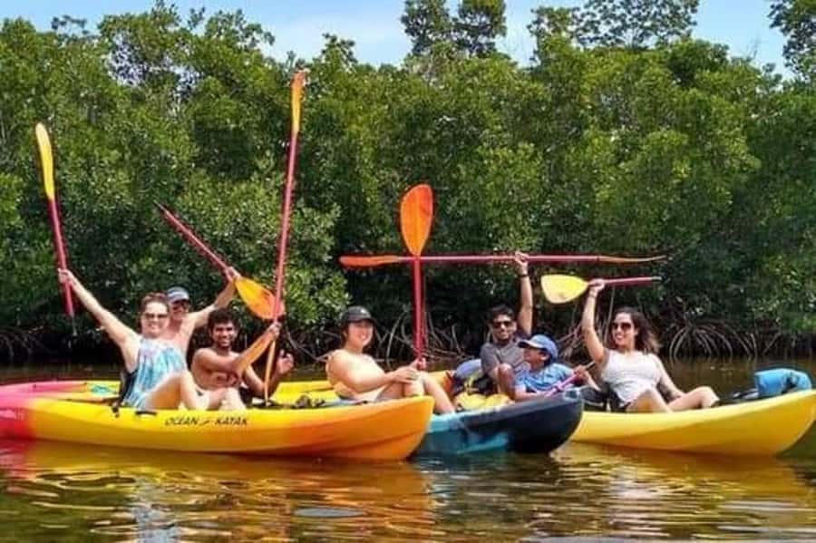 Zanzibar: 3-hour Kayak Tour through the Mangrove Forest - Birds, crabs, and the limits of wildlife watching