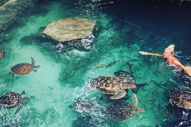 Zanzibar Adventures - Who will like this experience most?