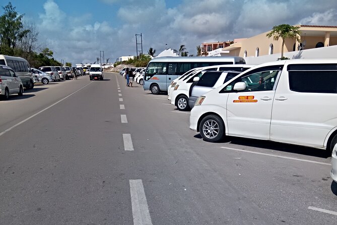 Zanzibar Airport Private Transfer to/from Hotel - Who will like this Zanzibar transfer most?