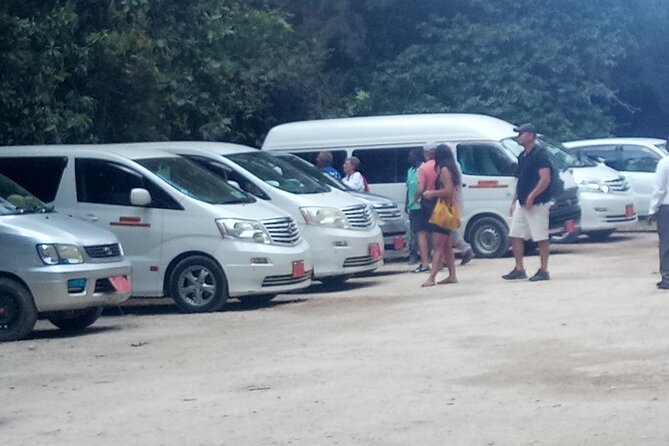 Zanzibar Airport Transfers & Island Shuttles – Book Now - What you see on the way to Stone Town or the beaches