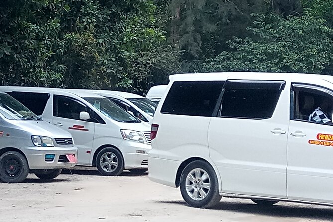 Zanzibar Airport Transfers & Island Shuttles – Book Now - Communication before landing