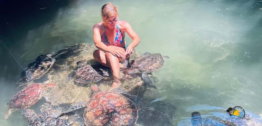 Zanzibar: Baraka Aquarium Feed, Swim & Snorkel with Turtles - Arriving at Baraka Natural Aquarium