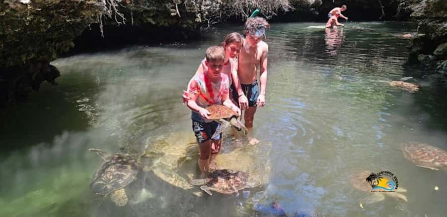 Zanzibar: Baraka Aquarium Feed, Swim & Snorkel with Turtles - Time in the pool and the overall pace