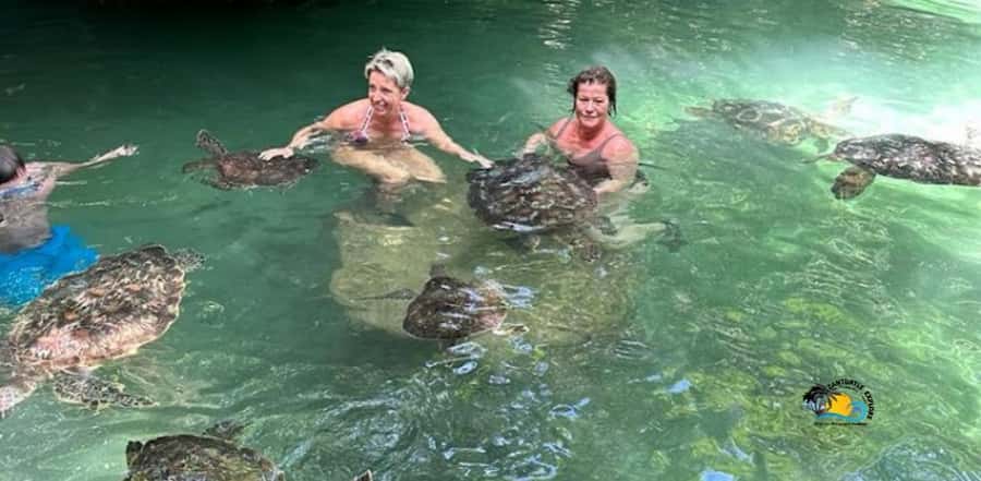 Zanzibar: Baraka Aquarium Feed, Swim & Snorkel with Turtles - Is $42 a fair price?