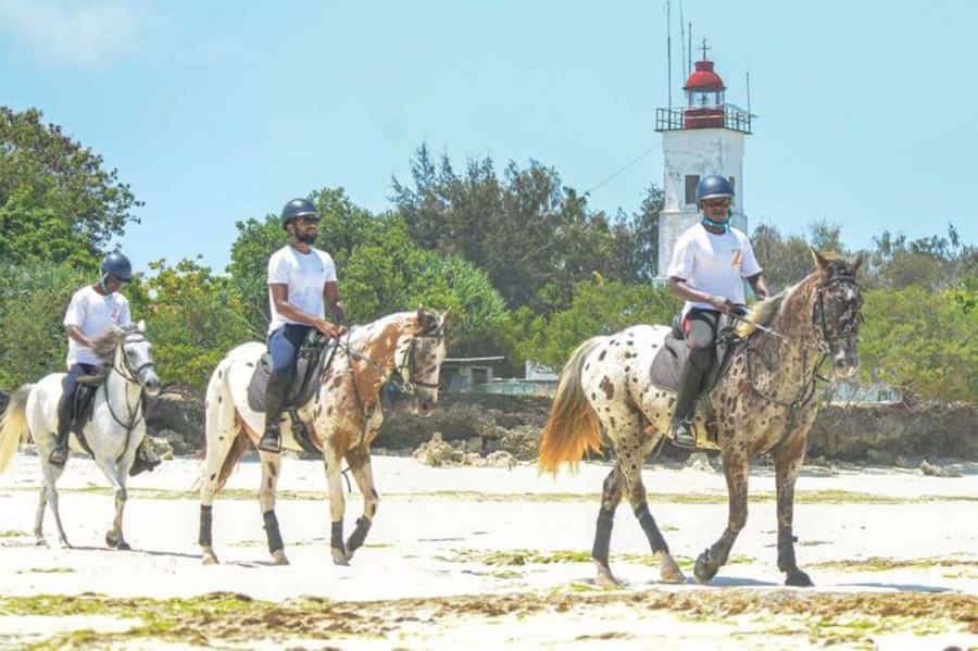 Zanzibar: Beach Horseback Ride and Swim with the Horse - Key points before you book