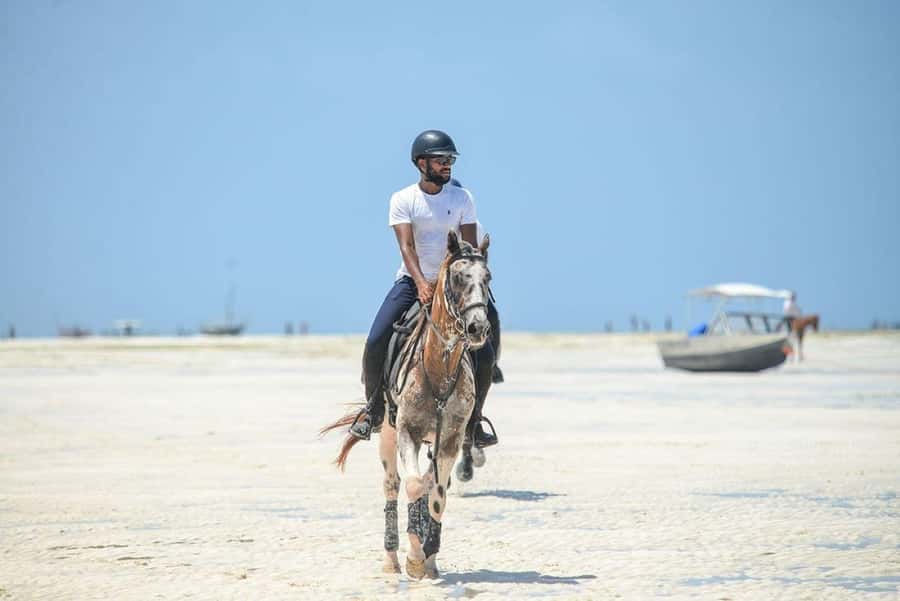 Zanzibar: Beach Horseback Ride and Swim with the Horse - Should you book this Zanzibar horse ride?