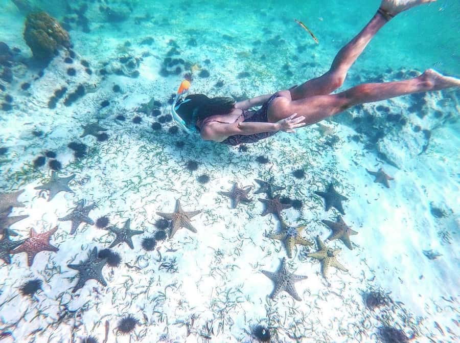Zanzibar: Blue lagoon, Starfish, Paje Beach and Maalum Cave - Three hours at the Blue Lagoon and Starfish Garden