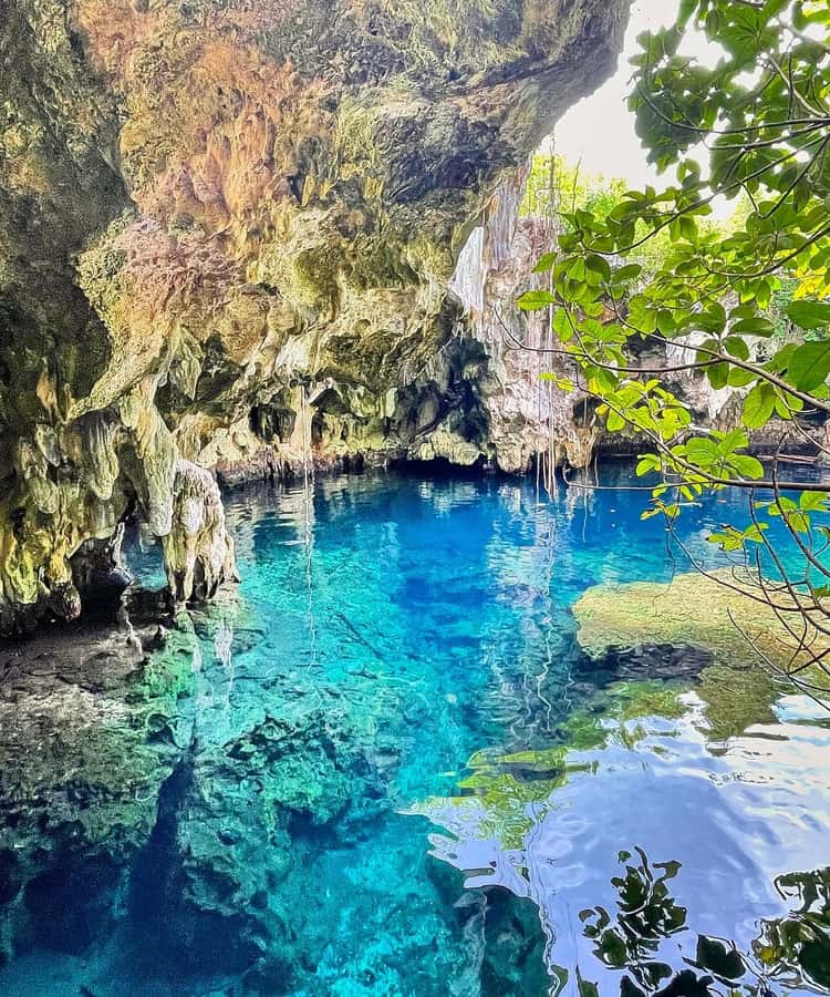 Zanzibar: Blue lagoon, Starfish, Paje Beach and Maalum Cave - A photo stop at the Rock Restaurant