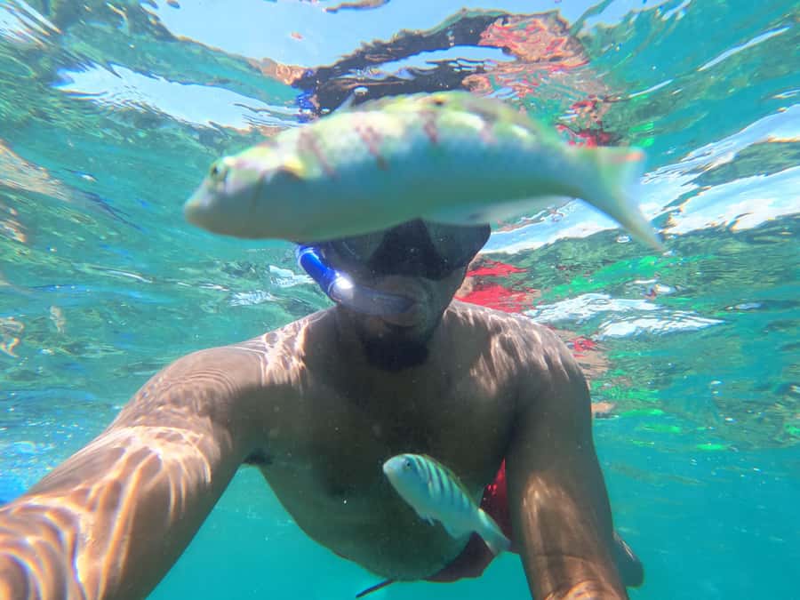 Zanzibar: Blue lagoon, Starfish, Paje Beach and Maalum Cave - Maalum Cave and the final swim