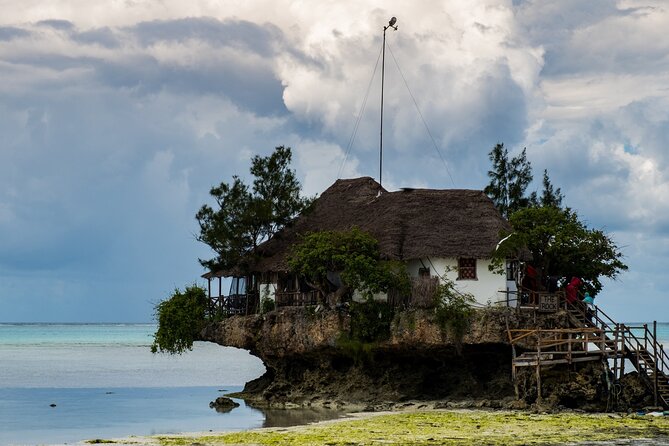 Zanzibar Excursions - Day 3: Jozani Forest, red colobus monkeys, and sea turtles