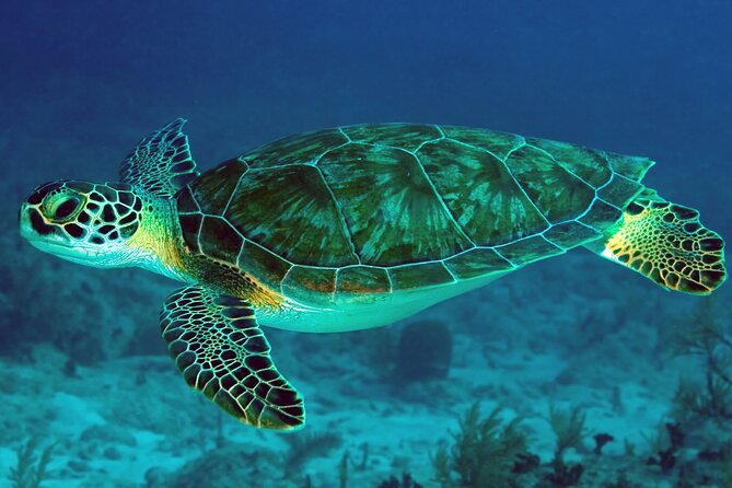 Zanzibar Excursions - The people and service behind the itinerary