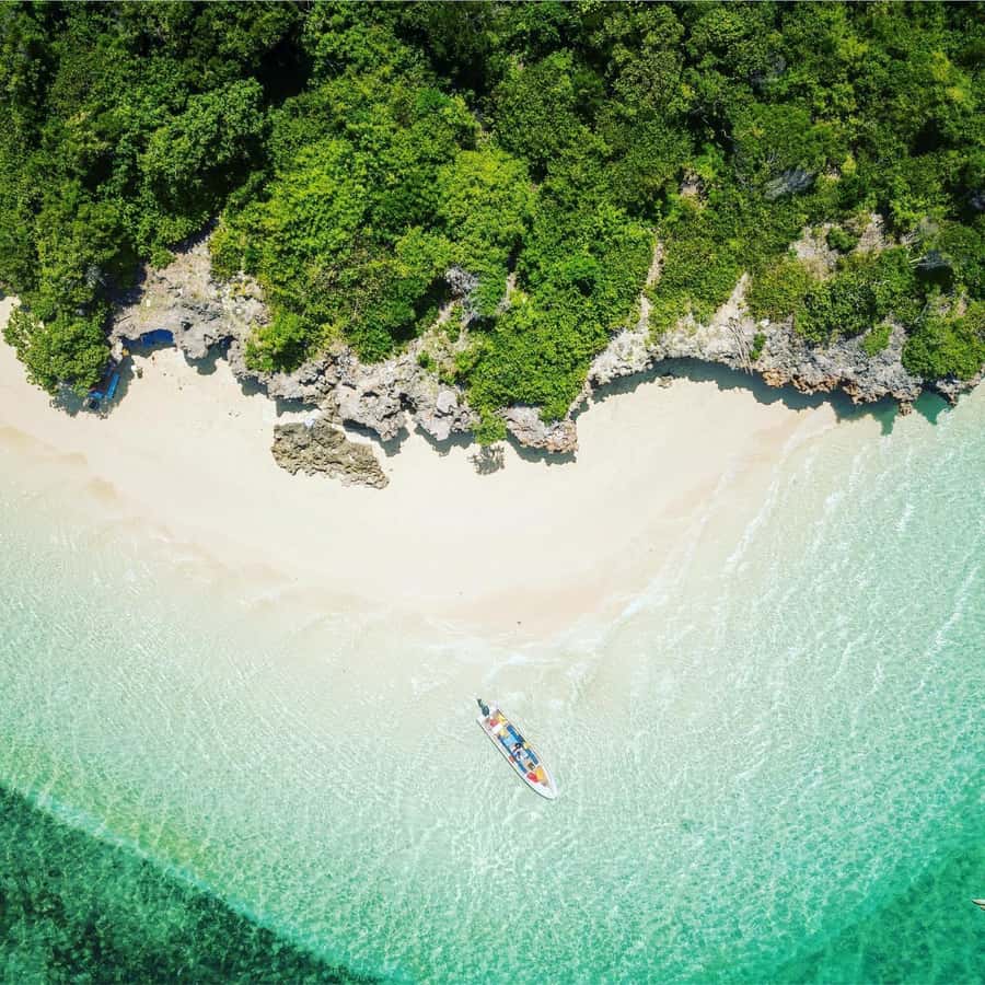 Zanzibar: Exploring the Blue Safari Sea Adventure - Key points at a glance