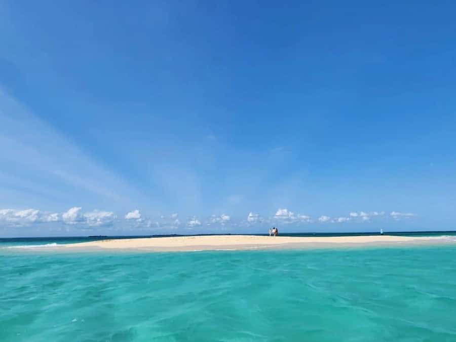 Zanzibar: Exploring the Blue Safari Sea Adventure - What the $240 price really covers