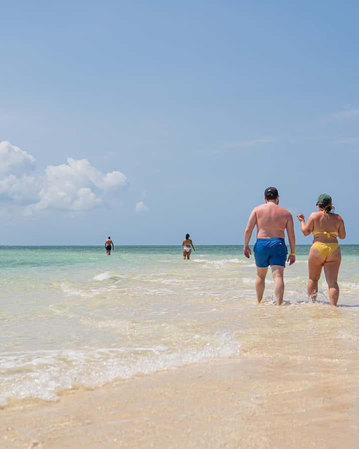 Zanzibar: Exploring the Blue Safari Sea Adventure - Snorkeling among coral and colorful fish