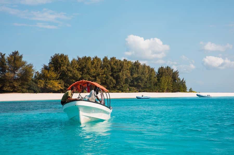 Zanzibar: Half-day Dolphin Swim & Snorkeling Boat Trip - Searching for wild dolphins near Zanzibar