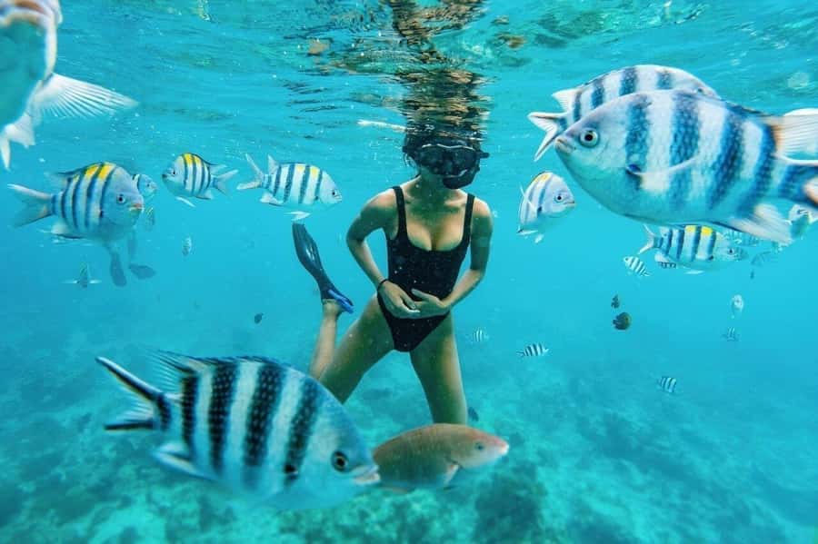 Zanzibar: Half-day Dolphin Swim & Snorkeling Boat Trip - Snorkeling among coral and tropical fish
