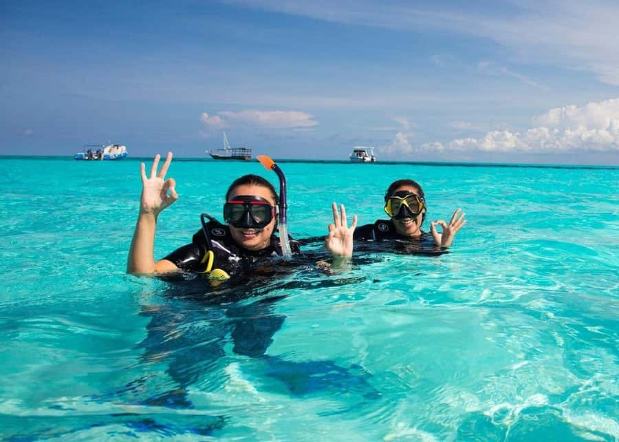 Zanzibar: Half-day Dolphin Swim & Snorkeling Boat Trip - What to pack for a smoother outing