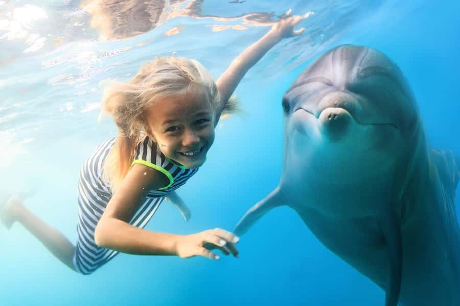 Zanzibar: Half-day Dolphin Swim & Snorkeling Boat Trip - Starting with the van and boat transfers