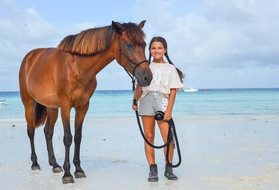 Zanzibar Horseback Riding - Key points before you book