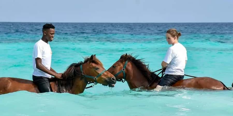 Zanzibar Horseback Riding - From your hotel lobby to the stable