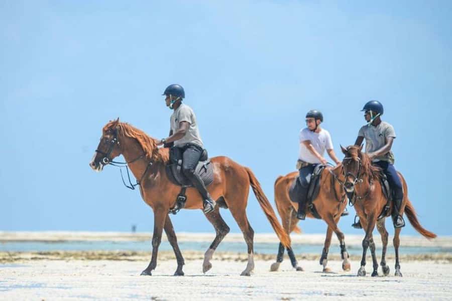 Zanzibar Horseback Riding - Riding out toward the Zanzibar coast