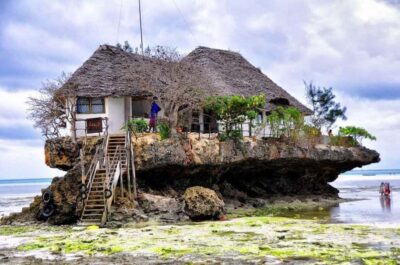 Jozani Forest, Kuza Cave and Stand Up Paddle Tour
