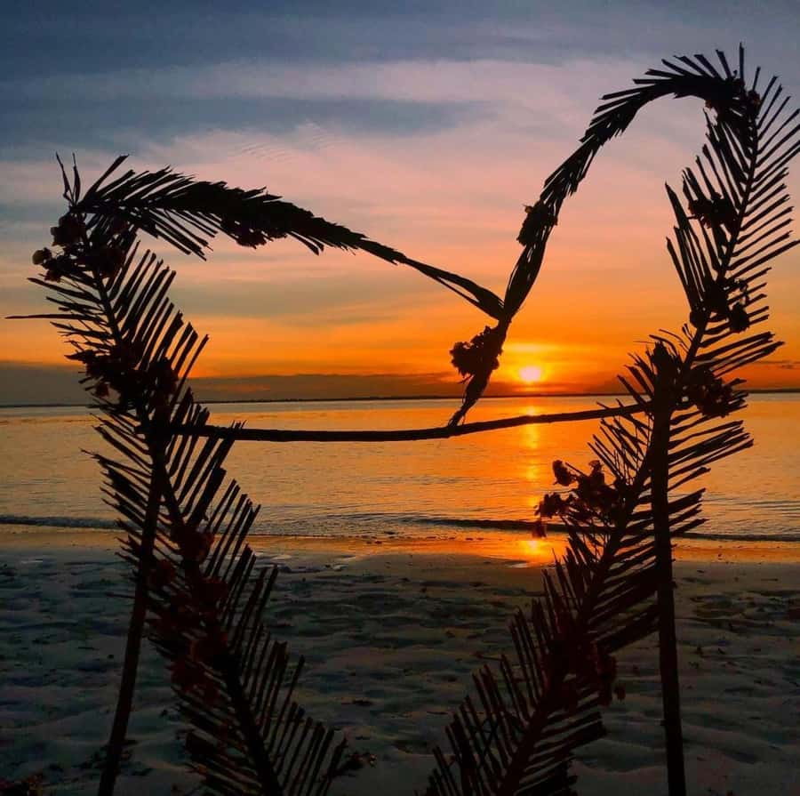 Zanzibar: Jozani Forest, Salaam & Maalum Caves and Sunset - Key points before you book