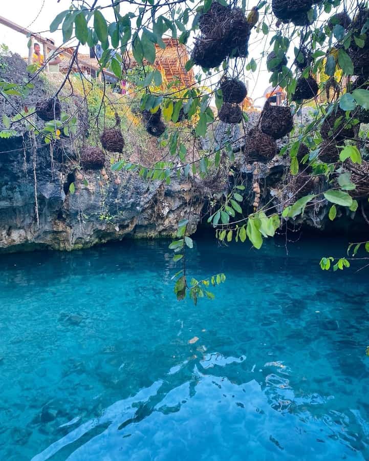 Zanzibar: Jozani Forest, Salaam & Maalum Caves and Sunset - Guides and the human side of the trip
