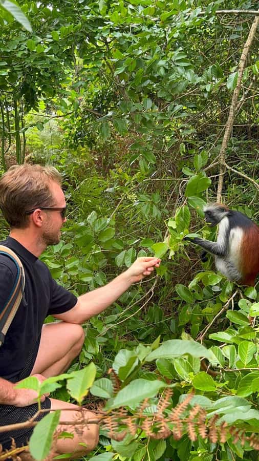 Zanzibar: Jozani Forest & Sea Tortoises Sanctuary Tour - Mangroves and black crabs add a second forest