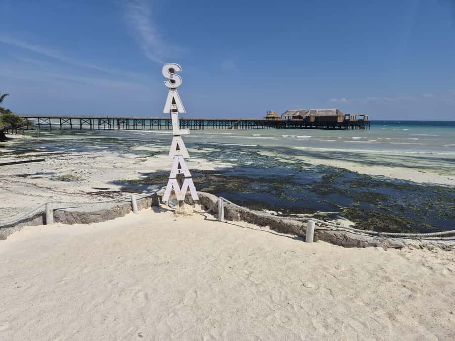 Zanzibar: Jozani Forest & Sea Tortoises Sanctuary Tour - The drive to Jozani takes about an hour
