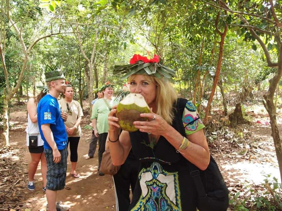 Zanzibar: Jozani forest tour & Spice farm tour with lunch - Quick points before you book