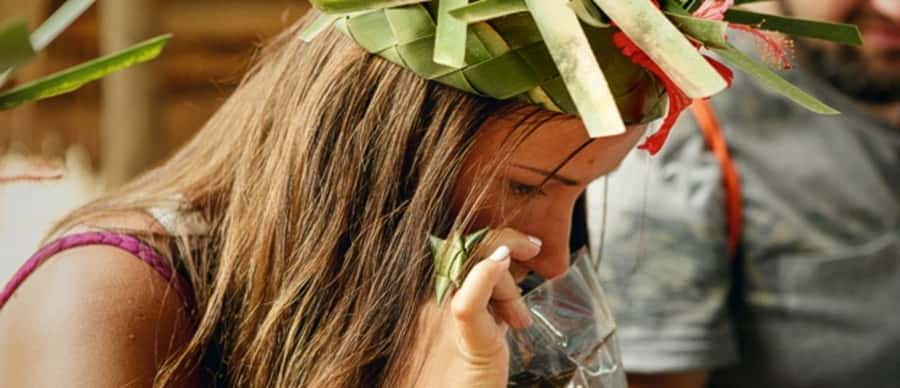 Zanzibar: Jozani forest tour & Spice farm tour with lunch - The mangrove walk adds another layer