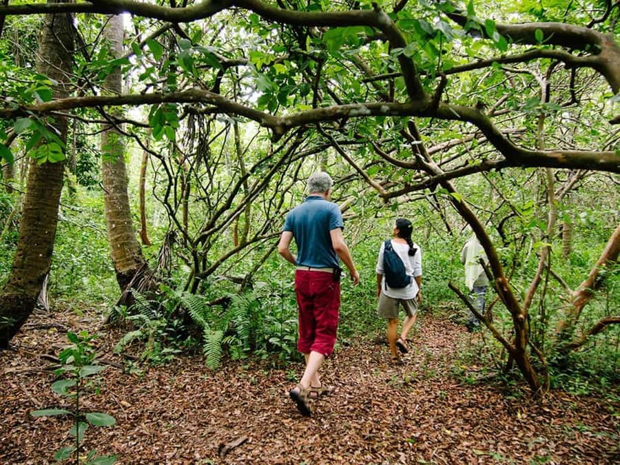 Zanzibar: Jozani forest tour & Spice farm tour with lunch - Small details that improve the day