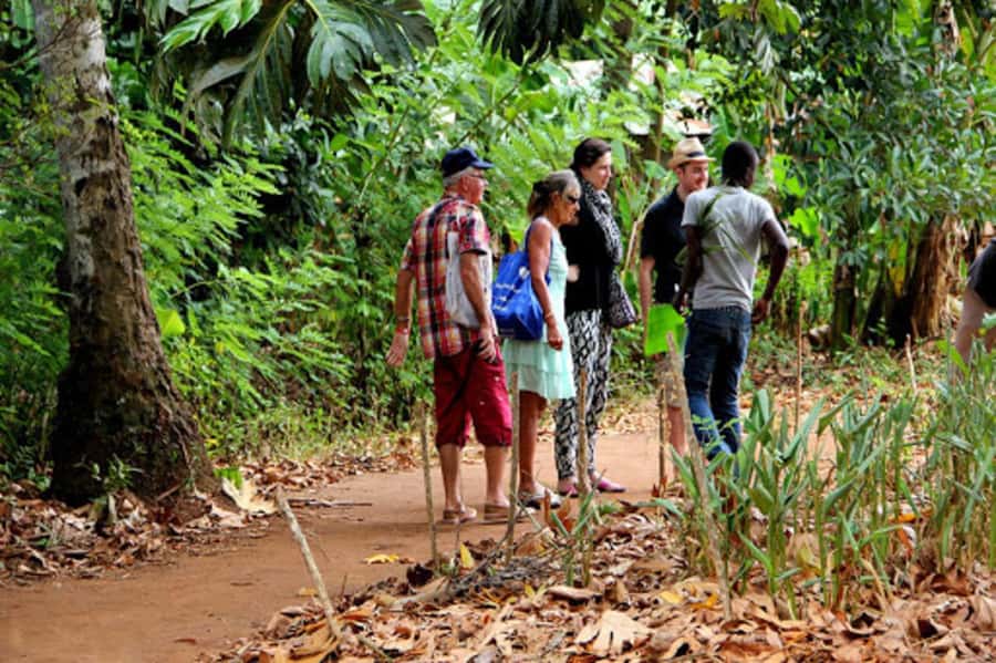 Zanzibar: Jozani forest tour & Spice farm tour with lunch - The road from your hotel to rural Zanzibar
