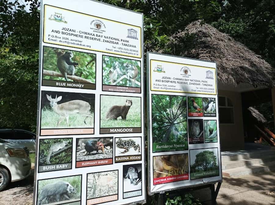 Zanzibar:Jozani national park,saalam cave &Mtende beach - Mtende Beach and the importance of the tide