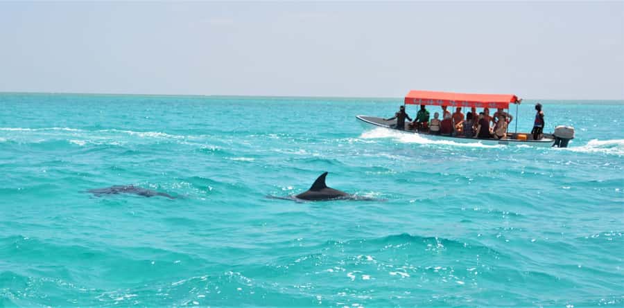 Zanzibar Mnemba Island And Snokling with Fruit - Key points at a glance