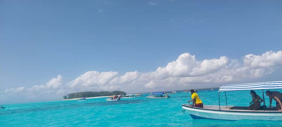 Zanzibar: Mnemba Island Dolphin and Snorkeling Tour - FAQ