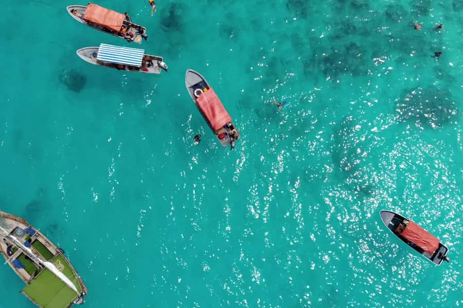 Zanzibar: Mnemba Island Dolphin and Snorkeling Tour - Snorkeling at Mnemba Atoll
